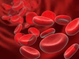 Plasma sanguíneo rico en factores crecimiento